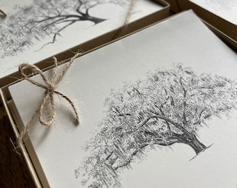 Oak Notes Boxed Stationery Set - Savannah and Low Country Live Oak Tree Cards