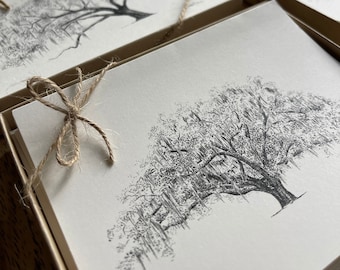 Oak Notes Boxed Stationery Set - Savannah and Low Country Live Oak Tree Cards