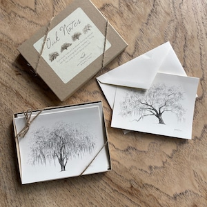 boxed set of stationery featuring live oak tree ink drawings by Heather L. Young