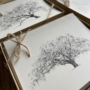 Boxed briefpapierset Oak Notes - Savannah and Low Country Live Oak Tree-kaarten