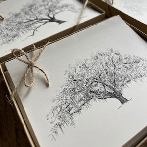 May include: A set of blank note cards with a hand-drawn illustration of a tree with long branches and leaves. The cards are packaged in a brown box with a twine bow.