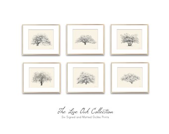 Live Oak Tree Art Collection - Gallery Wall Set of 6 Tree Prints - Neutral Home Décor - Line Drawings - Botanical Wall Art - Southern Design