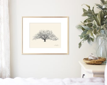 Oak Tree Print - Savannah Georgia - Candler Oak - Southern Decor - Lowcountry Art Giclee Print - Nature Lover Gift - 5x7 8x10 11x14