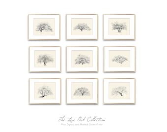 Live Oak Tree Wall Art Collection - Gallery Wall Set of 9 Tree Prints - Botanical Home Décor - Pen and Ink Drawings - Gift for Nature Lover