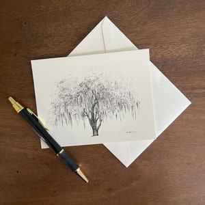 boxed stationery featuring live oak tree ink drawings by Heather L. Young
