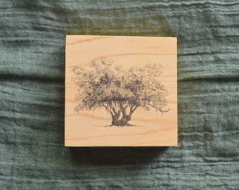 Lover's Oak Tree Print on Wood - Small Art Gift - Line Drawing - Fine Art Print - Southern Gift for Her - Rustic Valentines Day Gift for Him