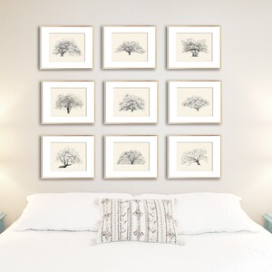 May include: A gallery wall of nine framed black and white drawings of trees, arranged in a three by three grid, above a white bed with a white pillow and a white throw pillow with a geometric pattern. Two bedside tables with lamps are on either side of the bed.