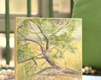 Dibujo original de un cedro inclinado con aguadas de acuarela sobre madera, decoración de pared costera, inspiración natural, paisaje de la región costera.