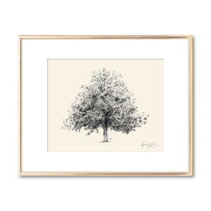Magnolienbaum Technische Zeichnung - Line Art Print - Südländische Dekoration - Bauernhaus Dekoration - Geschenk für Naturliebhaber - Botanische Wandkunst