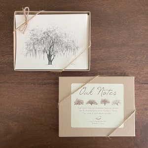 Oak Notes Boxed Stationery Set Savannah and Low Country Live Oak Tree Cards image 3