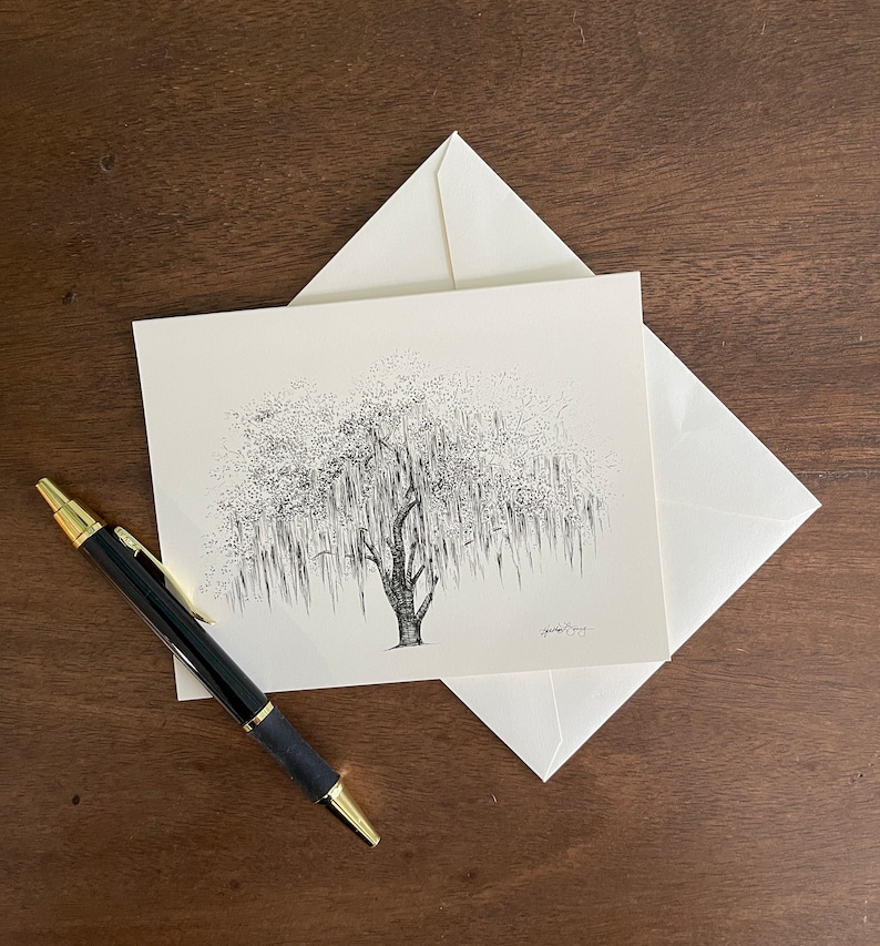 boxed stationery featuring live oak tree ink drawings by Heather L. Young