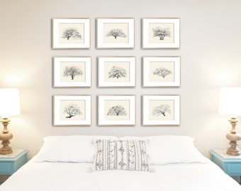 Live Oak Tree Wall Art Collection - Gallery Wall Set of 9 Tree Prints - Woodland Home Décor - Pen and Ink Drawings - Bedroom - Living Room