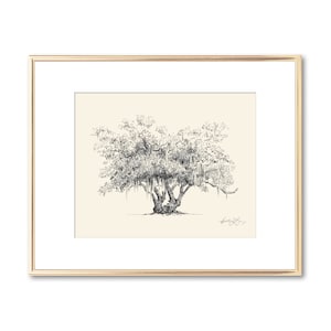 Lovers Oak Tree Print Nature Lover Gift Couple Gift Southern Decor Old Oak Spanish Moss Line Drawing Botanical Wall Art Gift image 2