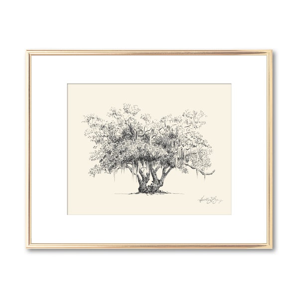 Old Oak Tree Print - Nature Lover Gift - Couple Gift - Southern Decor - Live Oak Tree Drawing with Spanish Moss - Line Art - Tree Wall Art