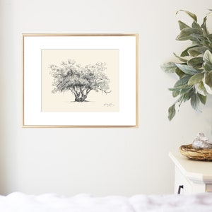 Lovers Oak Tree Print Nature Lover Gift Couple Gift Southern Decor Old Oak Spanish Moss Line Drawing Botanical Wall Art Gift image 3