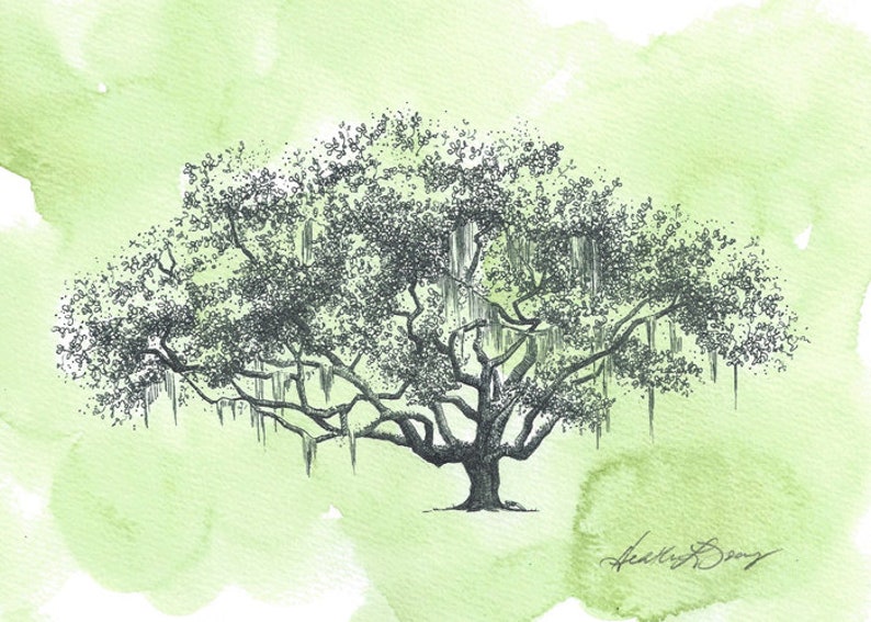 Ribault Club Oak Tree Pen and Ink Drawing Fine Art Print Watercolor Painting Small Art Unique Couple Wedding Gift Florida Decor image 2