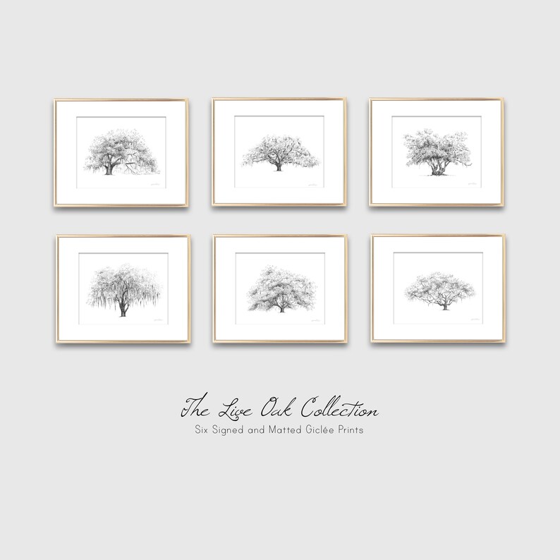 Lovers Oak Tree Print Nature Lover Gift Couple Gift Southern Decor Old Oak Spanish Moss Line Drawing Botanical Wall Art Gift image 8