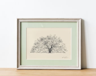 Old Oak Tree Fine  Art Print - Majestic Oak Savannah, Georgia - Line Drawing on Natural Paper - Pen and Ink - Black and White Art - Gift