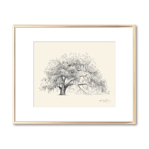 Ophelia Oak Tree - Live Oak Drawing - Fine Art - Signed Tree Print - Line Drawing - Paper Anniversary - Rustic Georgia Nature Lover Gift