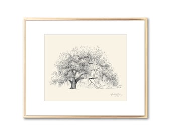 Ophelia Oak Tree - Live Oak Drawing - Fine Art - Signed Tree Print - Line Drawing - Paper Anniversary - Rustic Georgia Nature Lover Gift