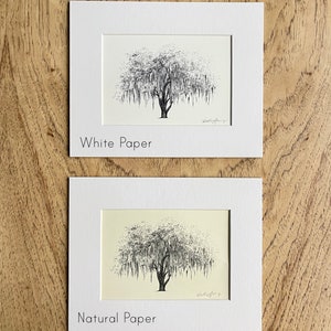 May include: Two framed drawings of a weeping willow tree, one on white paper and one on natural paper. The drawings are in black ink and are both signed by the artist.