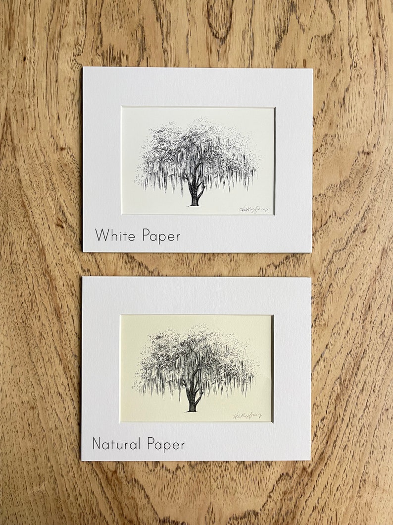 May include: Two framed drawings of a weeping willow tree, one on white paper and one on natural paper. The drawings are in black ink and are both signed by the artist.