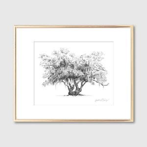 Lovers Oak Tree Print Nature Lover Gift Couple Gift Southern Decor Old Oak Spanish Moss Line Drawing Botanical Wall Art Gift image 4