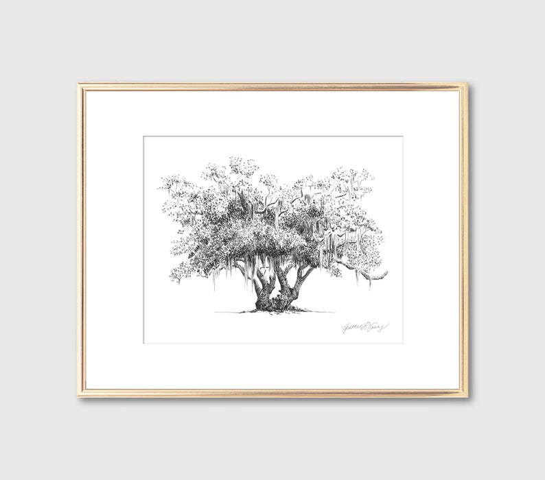Lovers Oak Tree Print Nature Lover Gift Couple Gift Southern Decor Old Oak Spanish Moss Line Drawing Botanical Wall Art Gift image 4