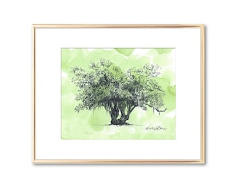 Old Oak Tree Print - Watercolor Painting - Fine Art Print - Brunswick Georgia - Couple Gift - Botanical Wall Art - Rustic Decor - Line Art