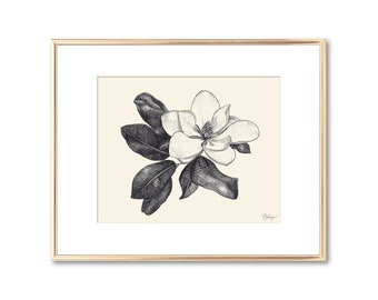Magnolia Flower Blossom Botanical Print - Floral Wall Art - Southern Decor Lowcountry Art Giclee Print - Nature Lover Gift - 5x7 8x10 11x14