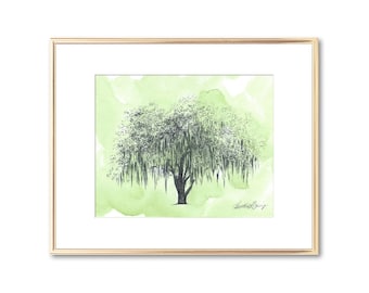 Pode incluir: Uma pintura em aquarela de uma árvore de salgueiro chorão com um fundo verde. A árvore é desenhada em tinta preta e tem ramos longos e fluidos. O fundo é um verde suave e claro.