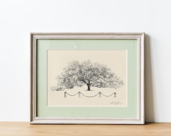 Marker Oak Tree - Live Oak Drawing Fine Art - Signed Tree Print - Paper Anniversary - Rustic Georgia Nature Lover Gift - Gallery Wall Decor