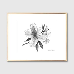 Impression botanique de fleur d'azalée art mural floral décoration du sud impression giclée d'art du Lowcountry cadeau pour les amoureux de la nature 5 x 7 8 x 10 11 x 14 image 3