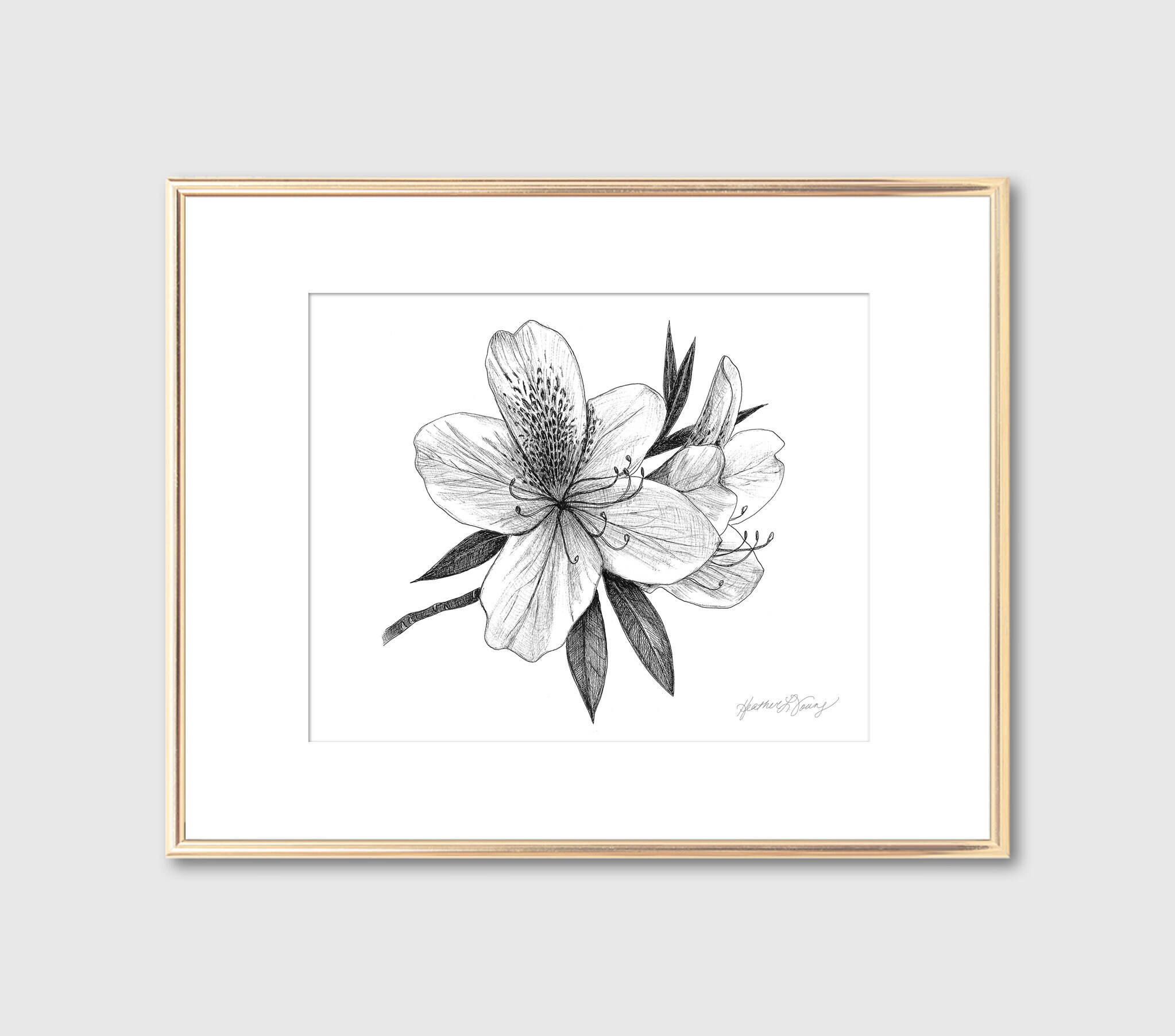Azalea Flower Blossom Botanical Print - Floral Wall Art - Southern ...