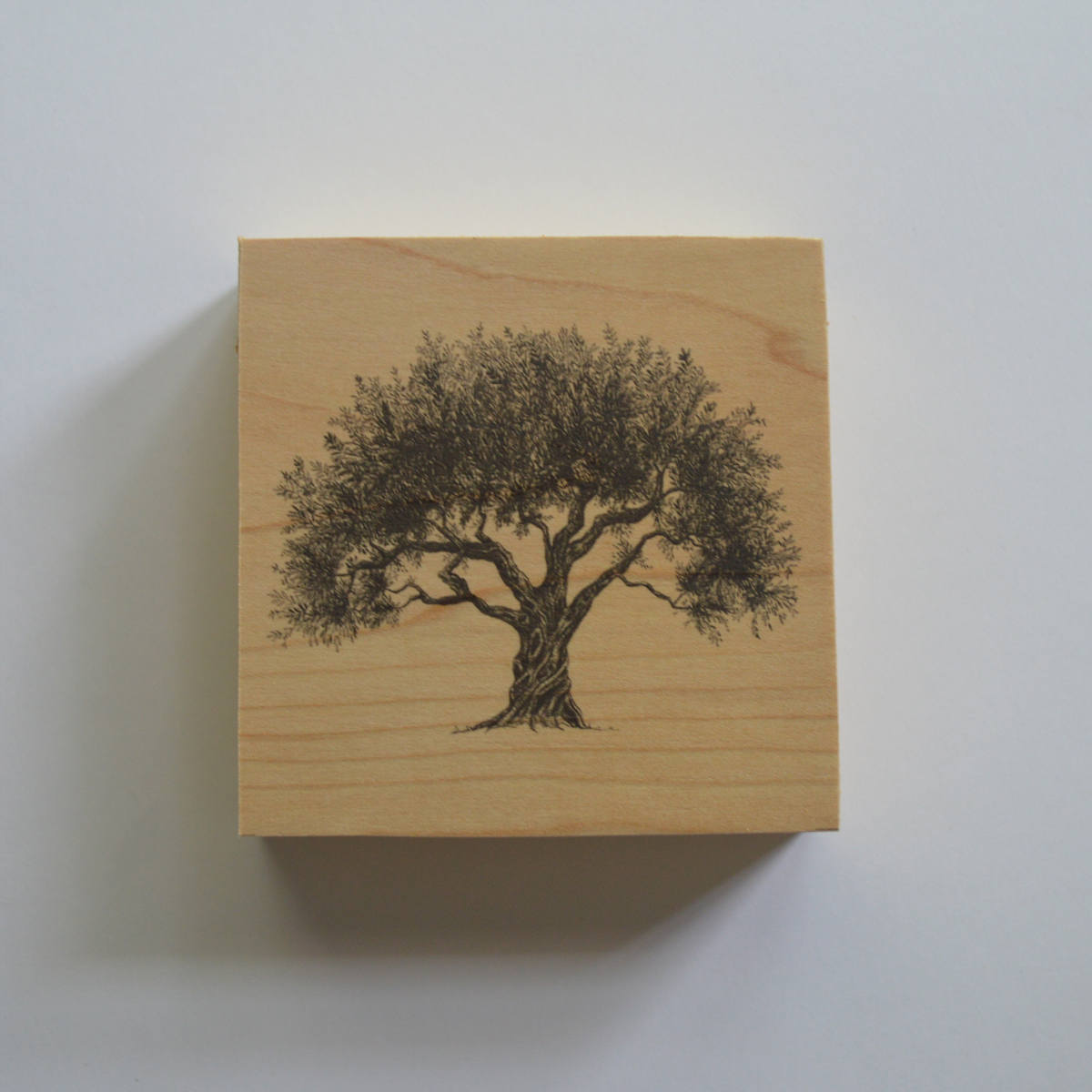 Olive Tree Art Print on Wood Panel Christmas Ornament Etsy