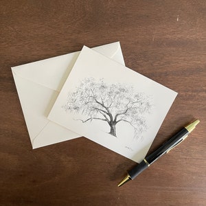 Oak Notes Boxed Stationery Set Savannah and Low Country Live Oak Tree Cards image 5