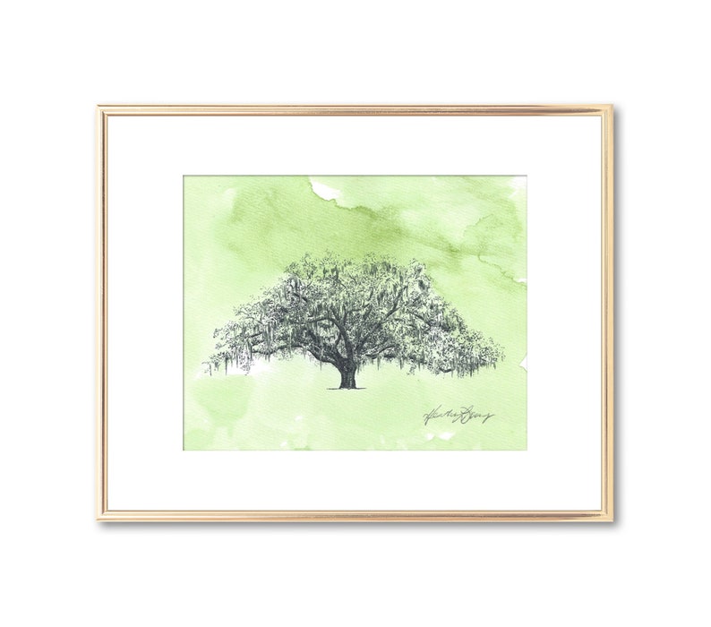 Pen and Ink Tree Drawing with Green Watercolor Wash - Hand Painted and Signed Tree Art Print - Giclee - Nature Inspired Wall Art Home Decor - Candler Oak Savannah, Georgia - Southern Live Oak Tree