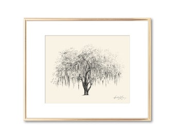 Botanical Illustration Oak Tree Print - Line Drawing - Nature Inspired Art - Tree Drawings - Savannah Georgia Gift - Southern Decor