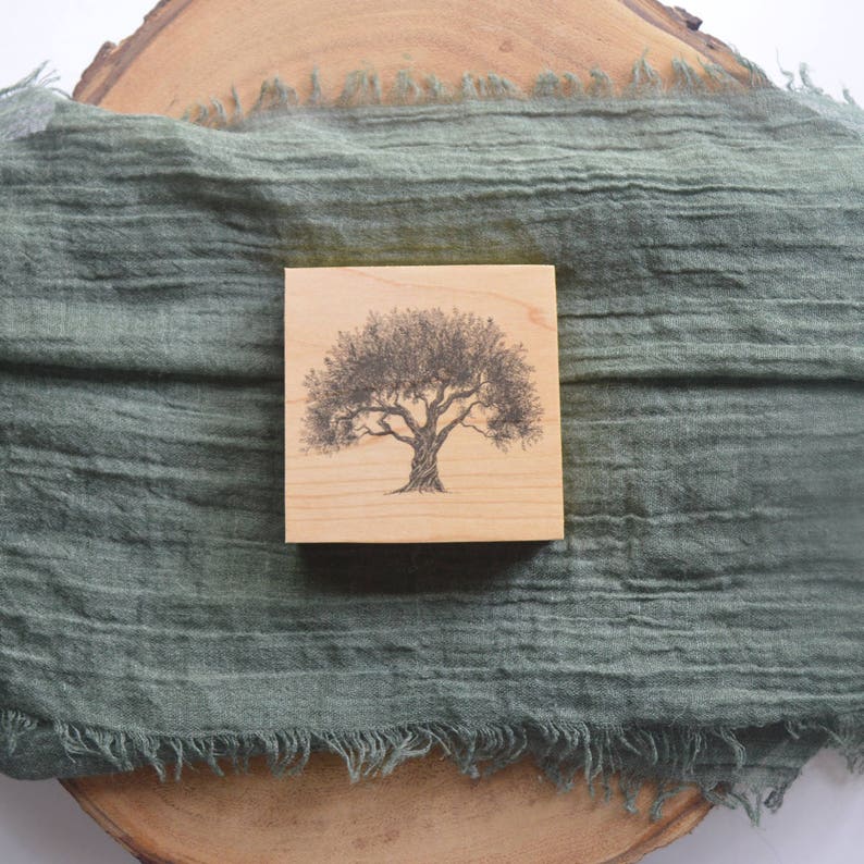 Olive Tree Art Print on Wood Panel Christmas Ornament Etsy