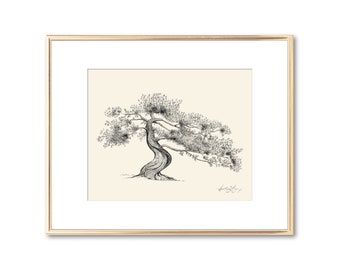 Juniper Tree Pen and Ink Drawing - Fine Art Print - Signed Tree Print - Line Drawing - Paper Anniversary Nature Lover Gift - 5x7 8x10 11x14