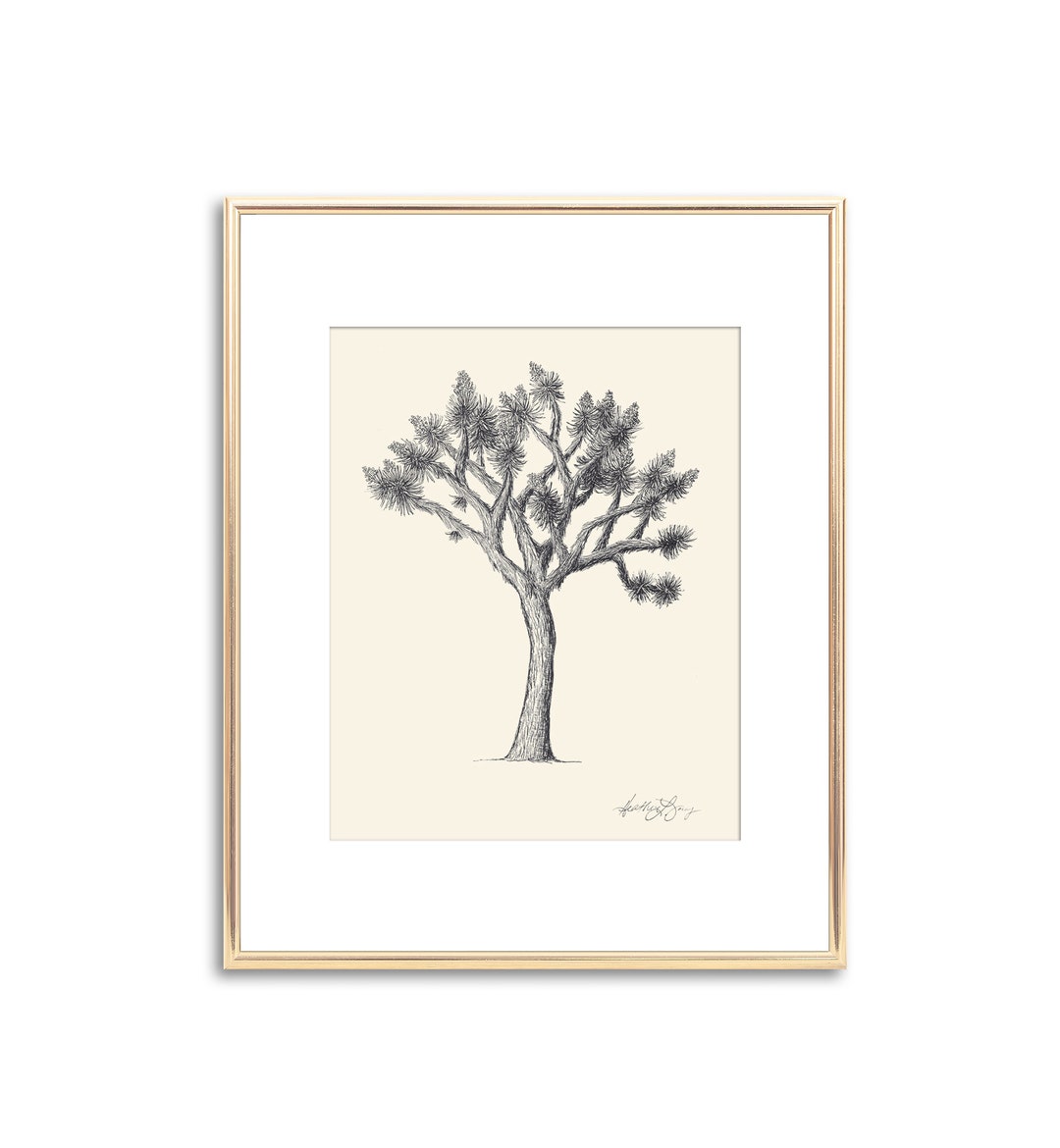 Joshua Tree Drawing - Signed Fine Art Print - Black Line Drawing ...
