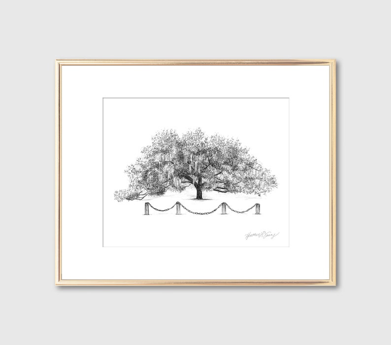 Old Oak Tree Print Technical Line Drawing Nature Lover Gift Line Art Rustic Art Botanical Illustration Southern Decor Wall Art image 4