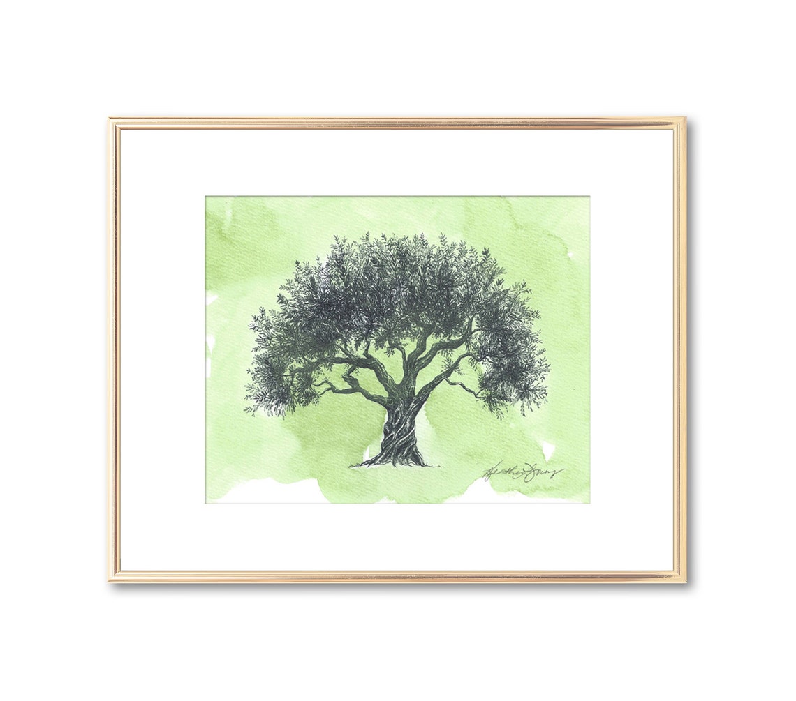 Olive Tree Pen and Ink Drawing Fine Art Print Watercolor Etsy