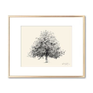 Dibujo de árbol de magnolia - Impresión de bellas artes - Arte inspirado en la naturaleza - Arte de pared botánico - Regalo único - Dibujo técnico - Decoración sureña