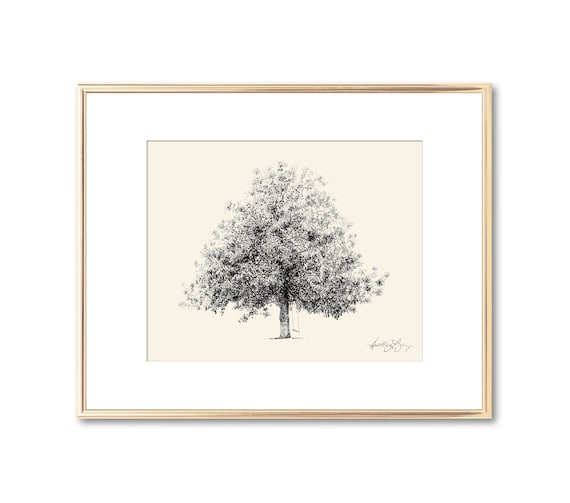 Magnolia Tree Drawing Fine Art Print Nature Inspired Art Etsy Magnolia Tree Drawing Fine Art Print Nature Inspired Art Etsy