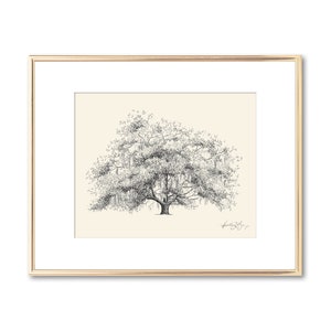 Old Dairy Oak Tree - Live Oak Drawing - Fine Art - Signed Tree Print - Line Drawing - Paper Anniversary - Rustic Georgia Nature Lover Gift