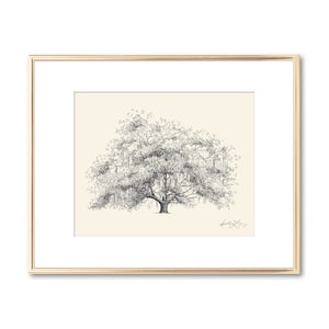 Old Dairy Oak Tree - Live Oak Drawing - Fine Art - Signed Tree Print - Line Drawing - Paper Anniversary - Rustic Georgia Nature Lover Gift