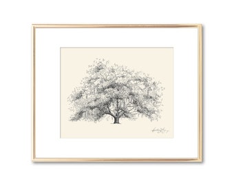 Old Dairy Oak Tree - Live Oak Drawing - Fine Art - Signed Tree Print - Line Drawing - Paper Anniversary - Rustic Georgia Nature Lover Gift