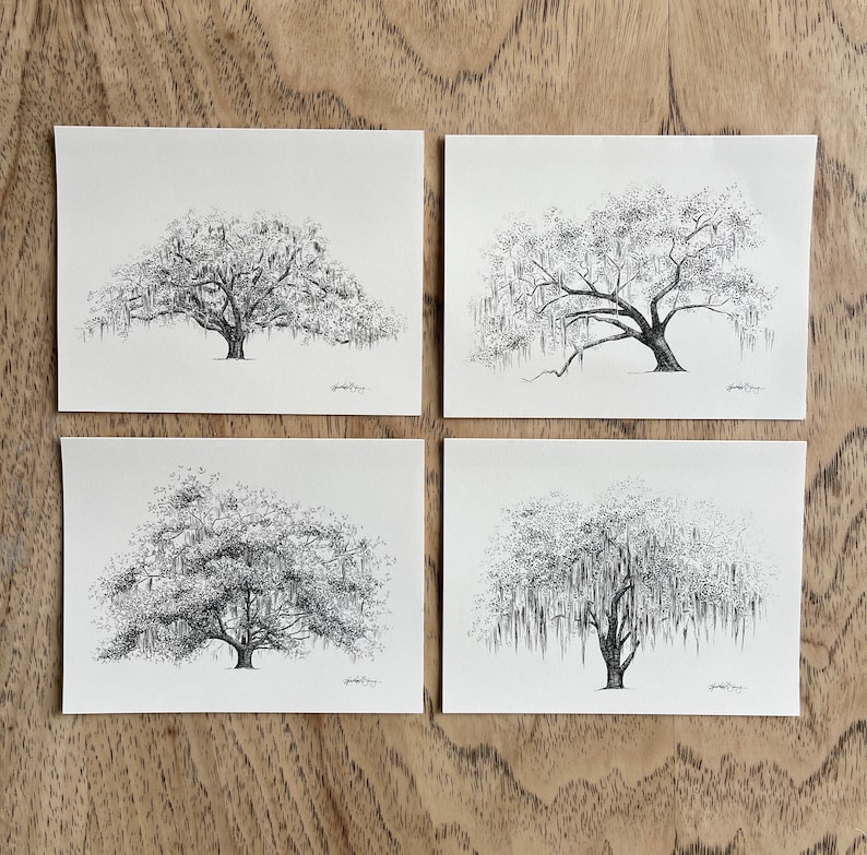 Oak Notes Boxed Stationery Set Savannah and Low Country Live Oak Tree Cards image 10