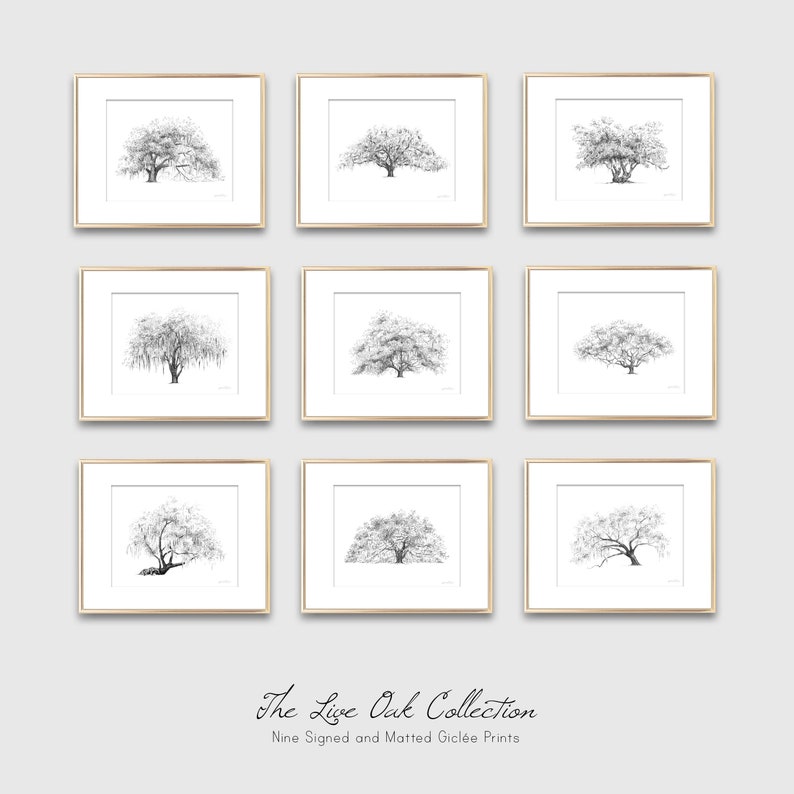 May include: Nine black and white pencil drawings of live oak trees, each framed in a gold frame. The drawings are arranged in a grid of three rows and three columns. The title "The Live Oak Collection" and the text "Nine Signed and Matted Gicl&eacute;e Prints" are printed below the grid of drawings.